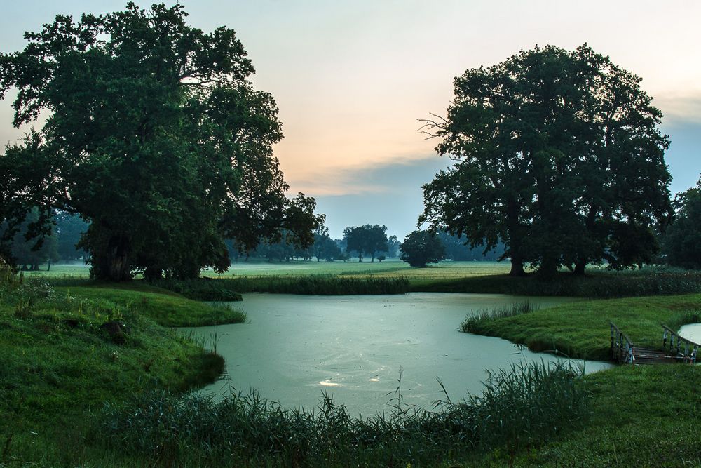 Guten Wald und Flur Foto & Bild landschaft, garten