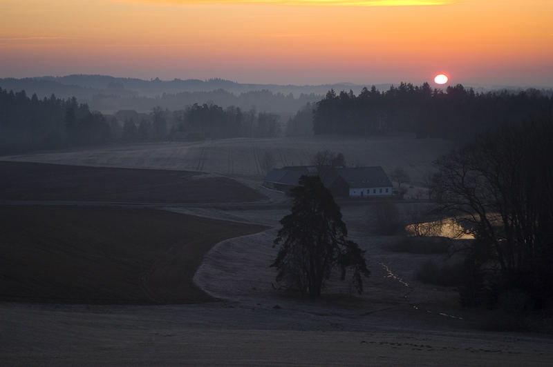 Guten Morgen Waldviertel