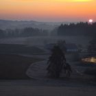 Guten Morgen Waldviertel