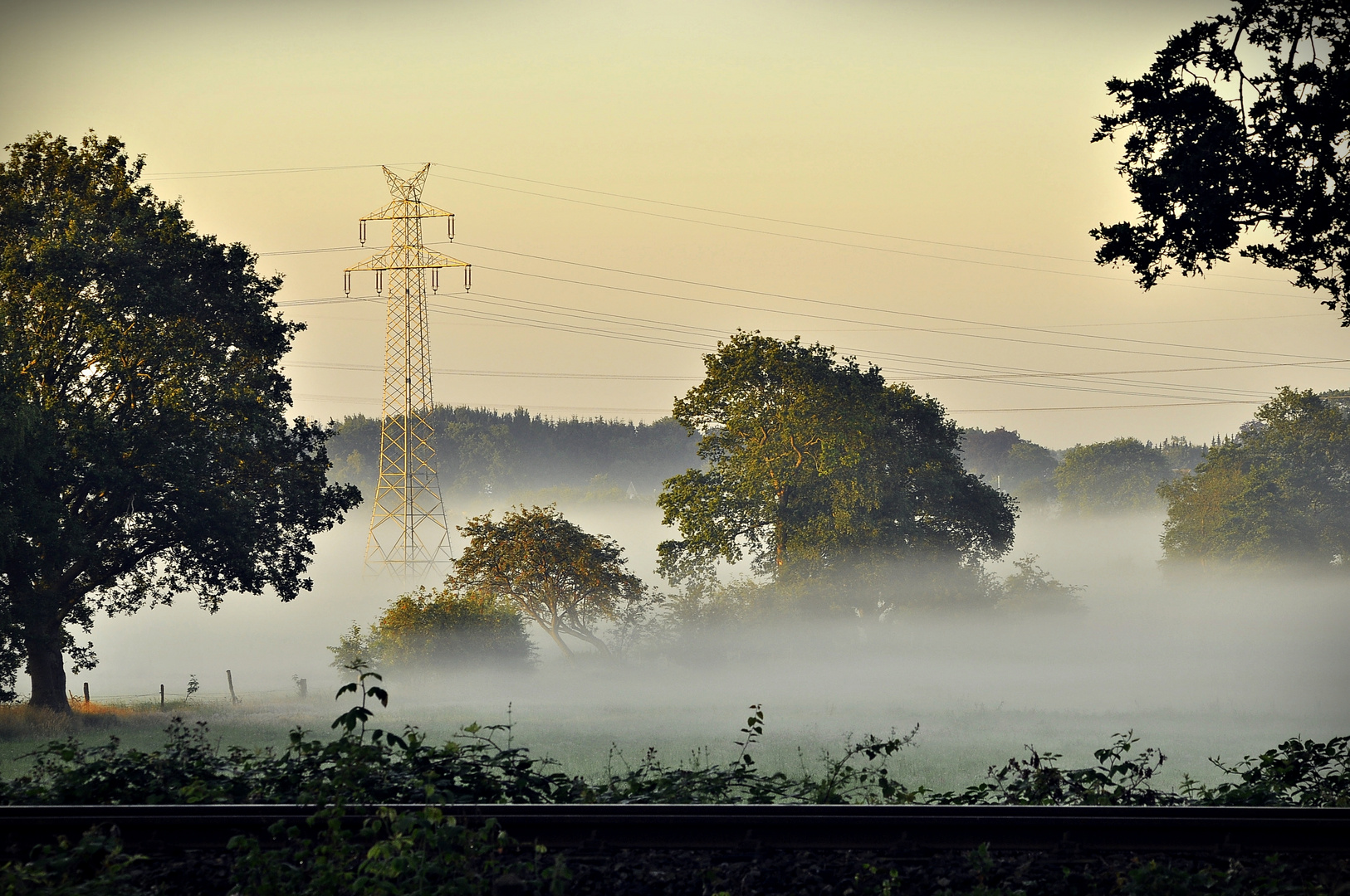 Morgen Welt Morgen Welt