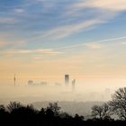 "Guten Morgen Wien"