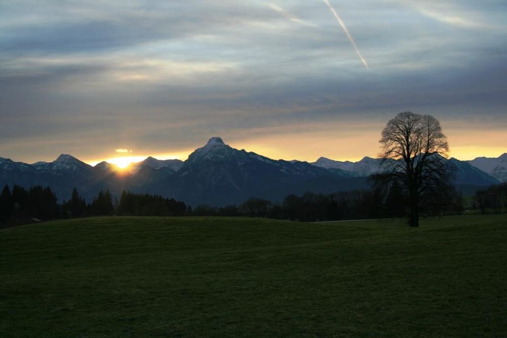 Guten Morgen Bild Winter: A Journey Through Art and Inspiration
