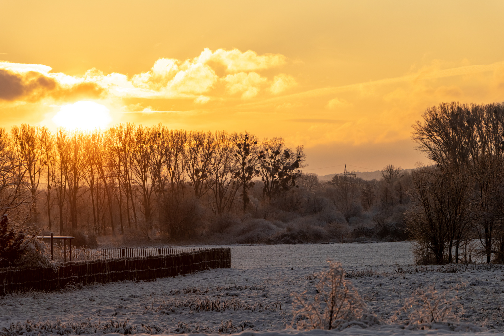 Guten Morgen Winter