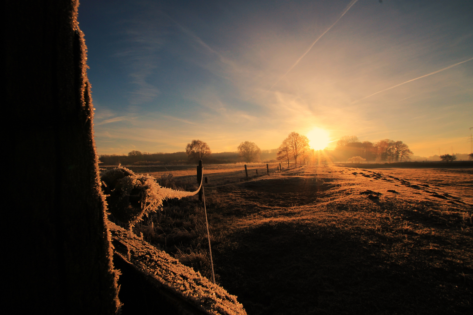 Guten Morgen Winter Foto Bild Kalt Baume Sonnenaufgang Bilder Auf Fotocommunity