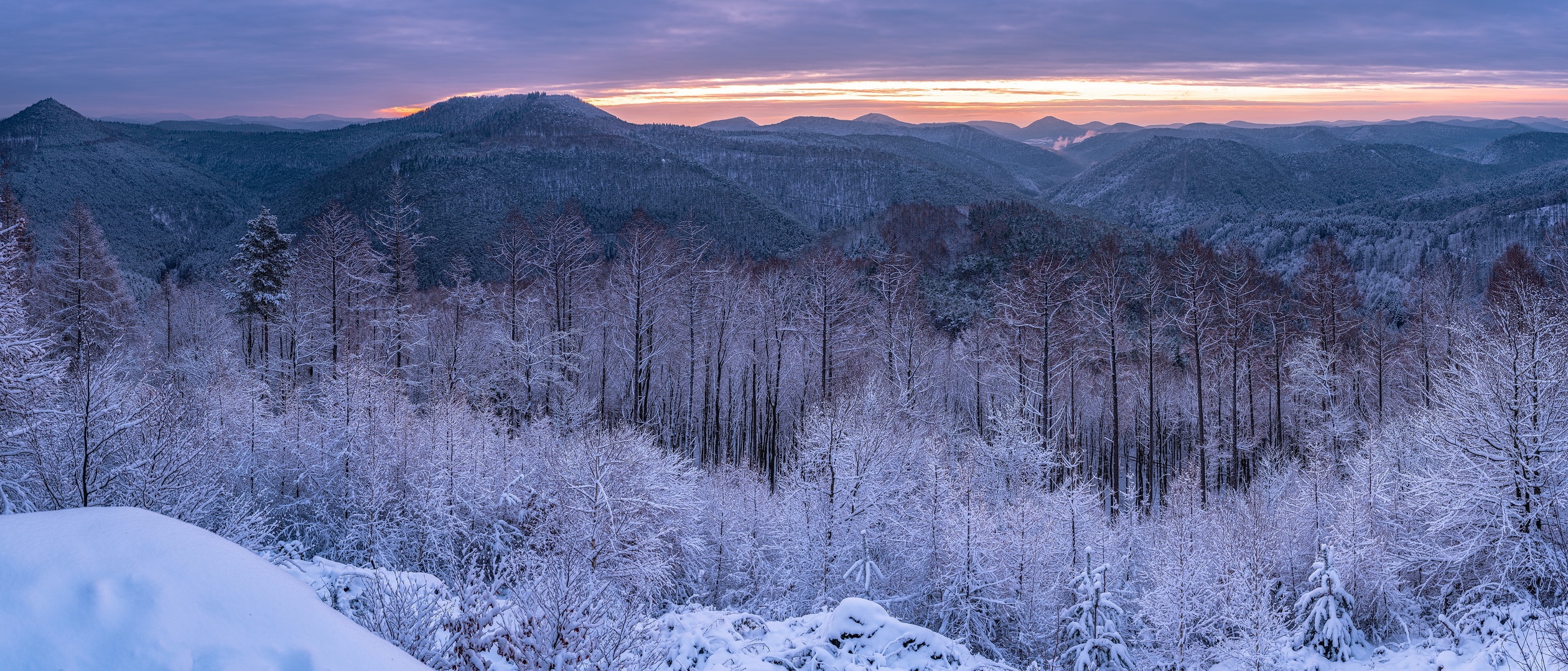 Guten Morgen, Winterland!!