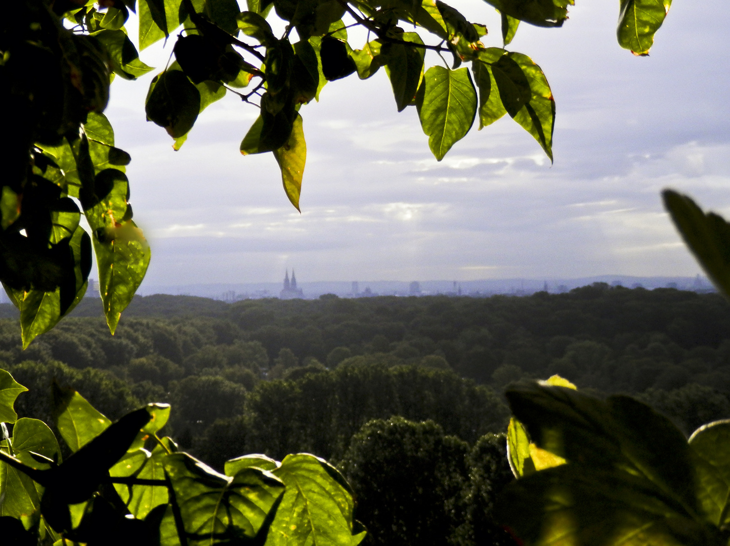 Guten Morgen, wunderschöne Stadt !