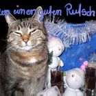 "GUTEN RUTSCH! "