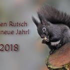 Guten Rutsch ...