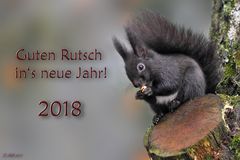 Guten Rutsch ...