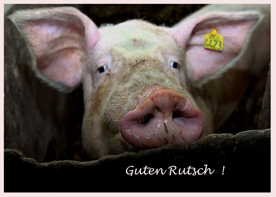 Guten Rutsch.................