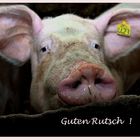 Guten Rutsch.................