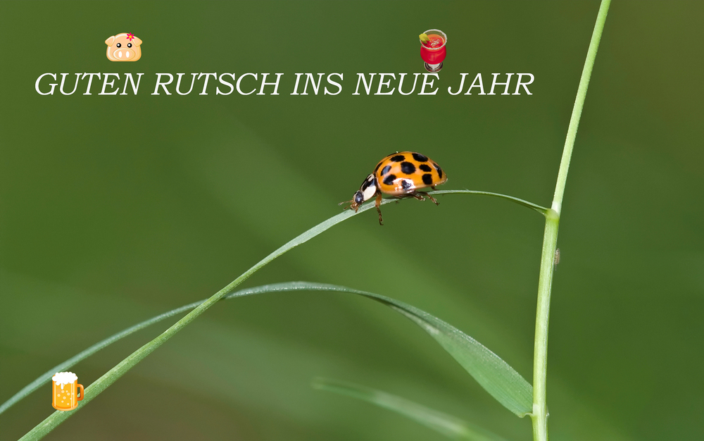 GUTEN RUTSCH ;D)