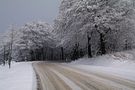 Guten Rutsch von bayerlein ute 