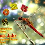 ++++ Guten Rutsch ++++