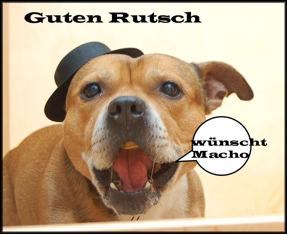 !!! Guten Rutsch !!!