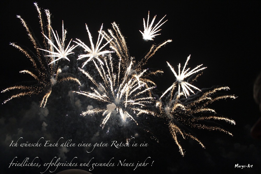 Guten Rutsch ins Neue Jahr 2013 !