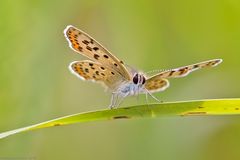 Guten Start in den  Frühling