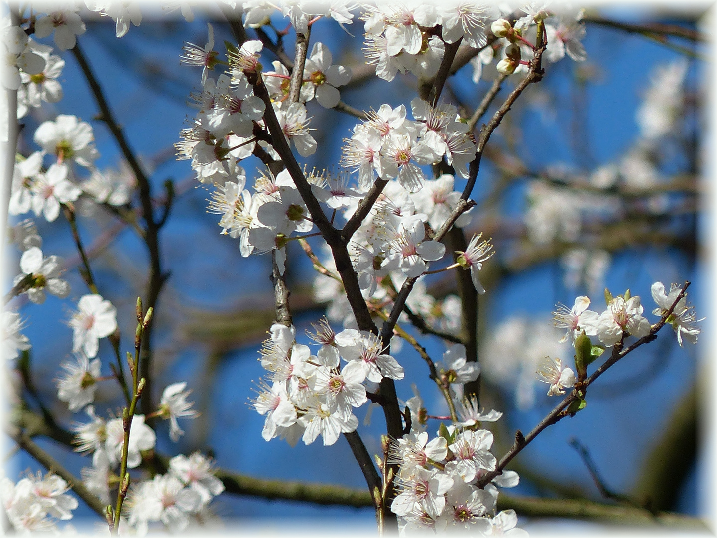 Guten Start in den Frühling