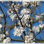 Guten Start in den Frühling