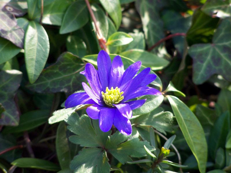 Guten Start in den Frühling