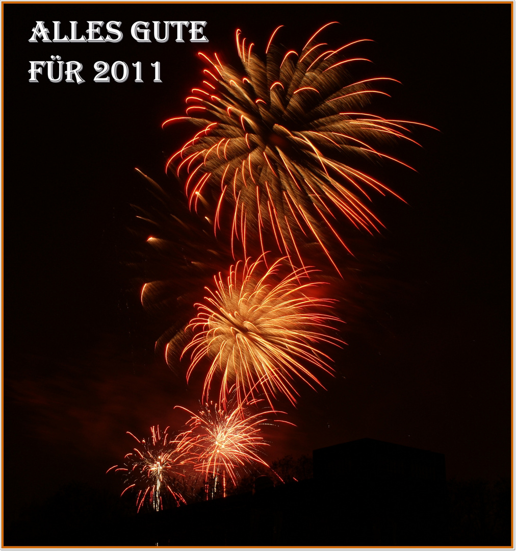 Guten Start ins Jahr 2011!!!