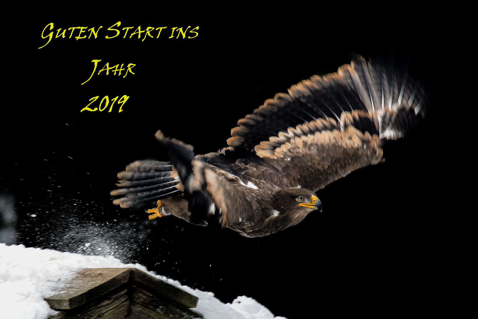 Guten Start ins Jahr 2019