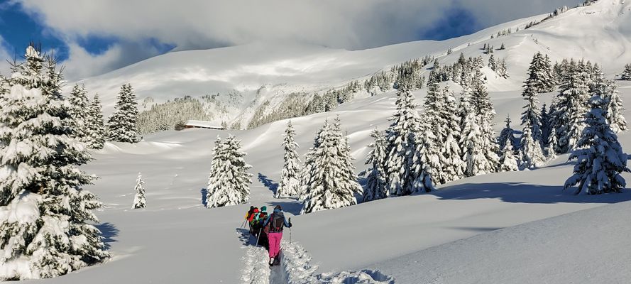 Guten Start ins Neue Jahr