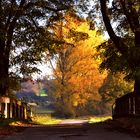 Guten Tag Herbst ! Tolle Herbststimmung an der Fischach Brücke.