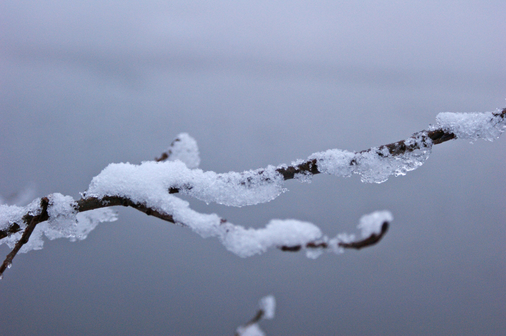 guten tag, mein name ist winter.