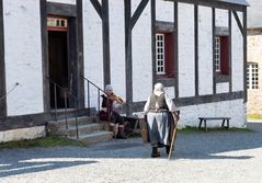 Guten Tag schöne Junge Frau, Hallo Troubadour.       DSC_7034