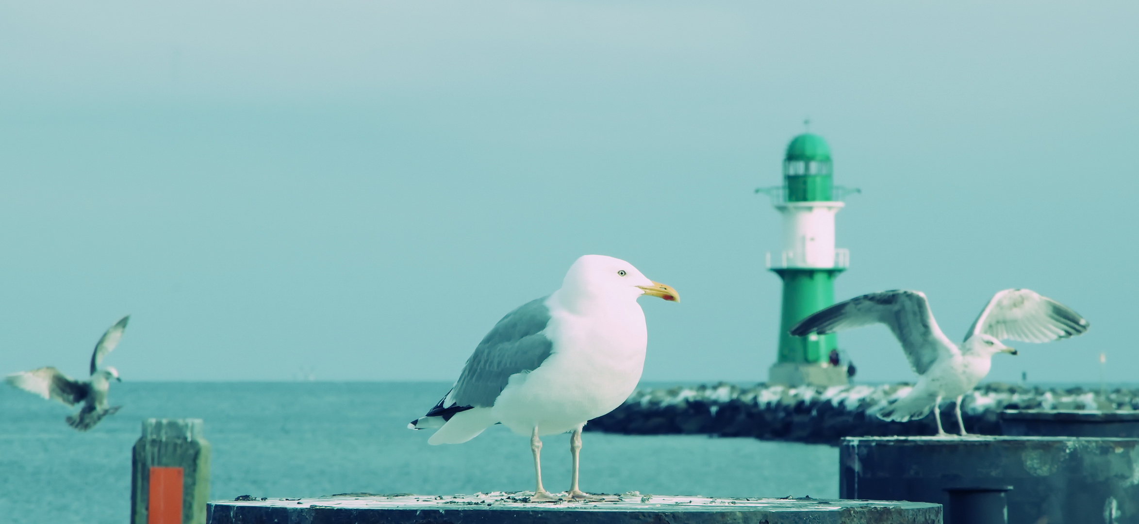 guten tag warnemuende4