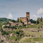 Gutenfels bei Kaub 26