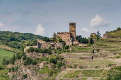 Gutenfels bei Kaub 26