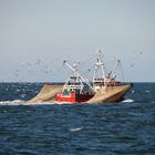 Guter Fang vor Helgoland