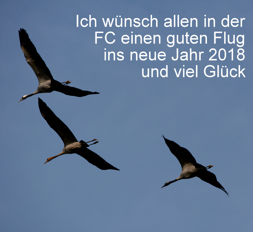 Guter Flug ins neue Jahr 2018 und viel Glück