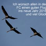 Guter Flug ins neue Jahr 2018 und viel Glück