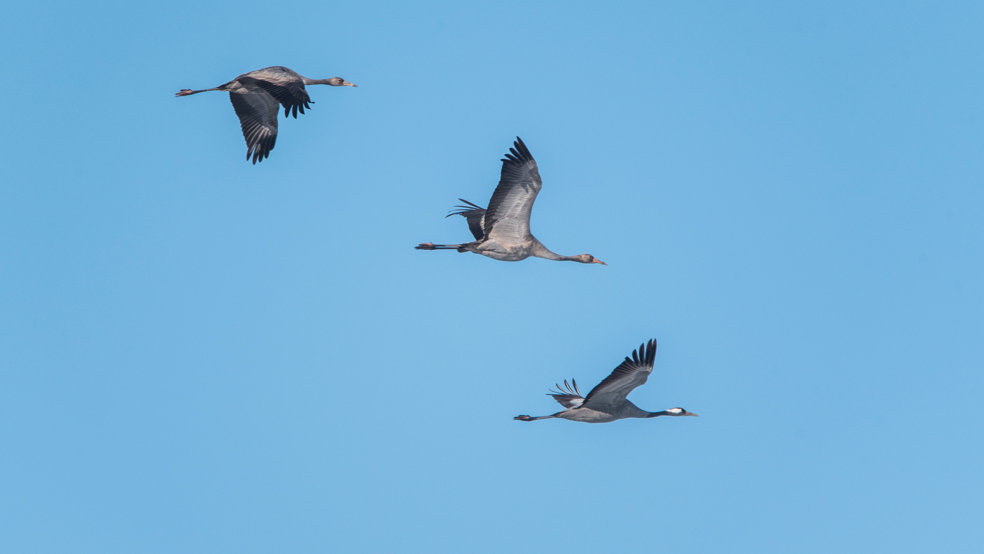 Gutes Flugwetter