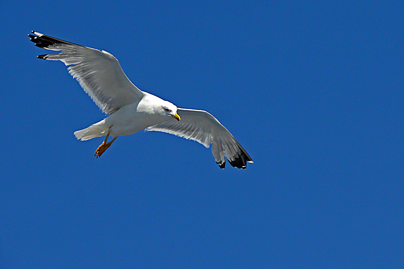 gutes Flugwetter