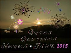 Gutes ,Gesundes Neues Jahr 2015