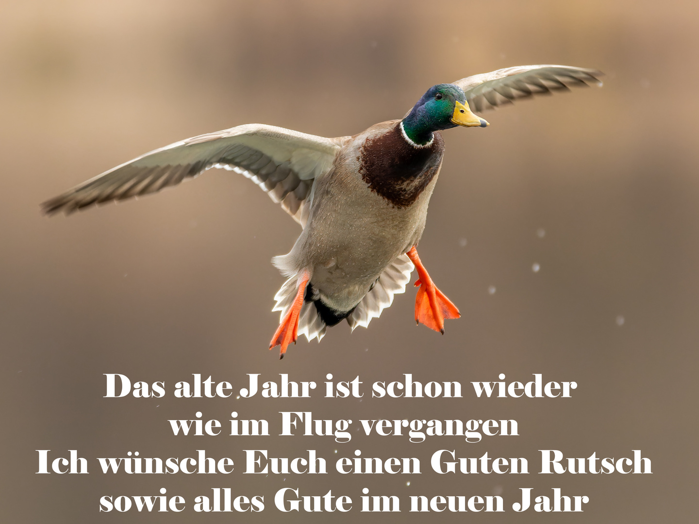 Gutes neues Jahr