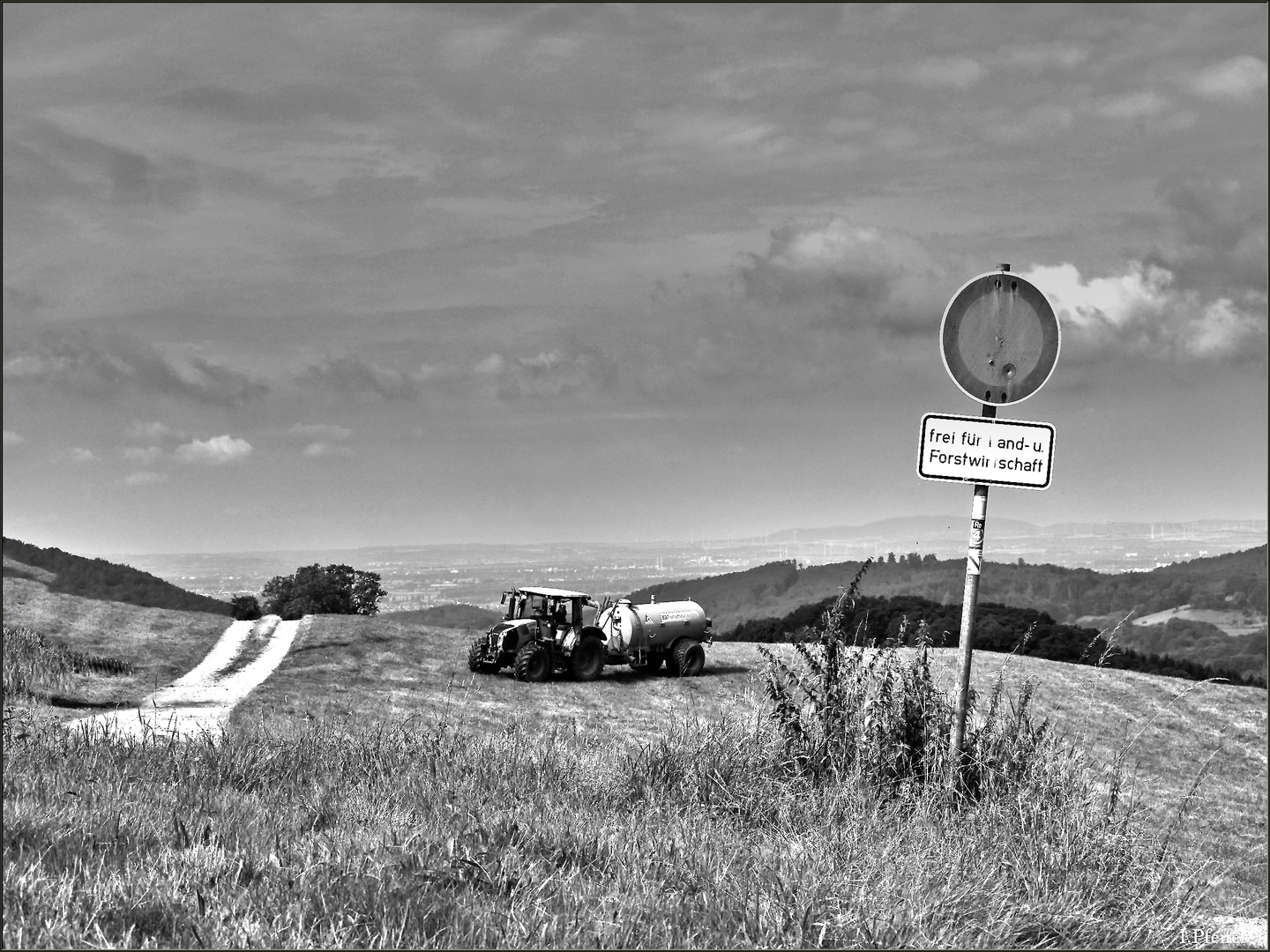 Gutes Wetter für den Bauern, diesiges Wetter für die Fotografin ;-)