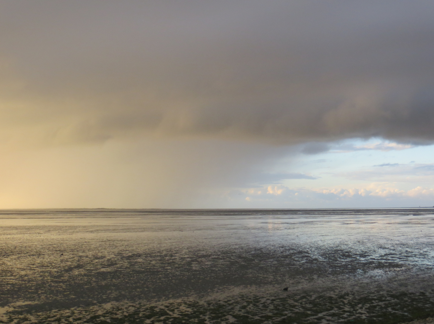 Gutes Wetter und schlechtes Wetter.....Neuharlingersiel live