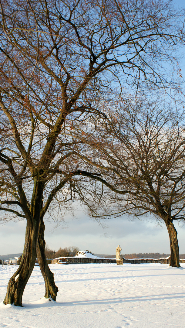 Gutes Winterwetter auf dem Arnsberger Schloßberg