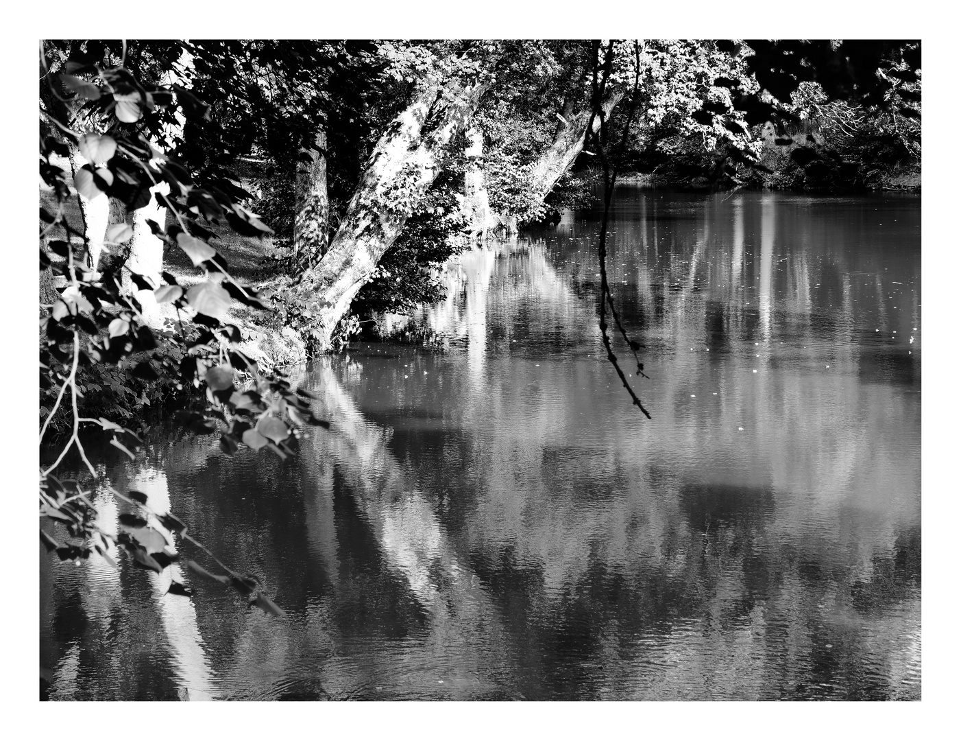 Gutsweiher Hofgut Imsbach Lapointe