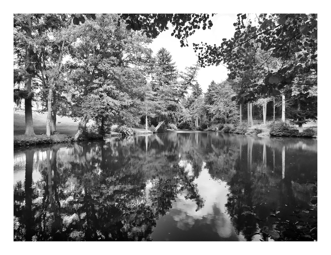 Gutsweiher Hofgut Imsbach Lapointe II