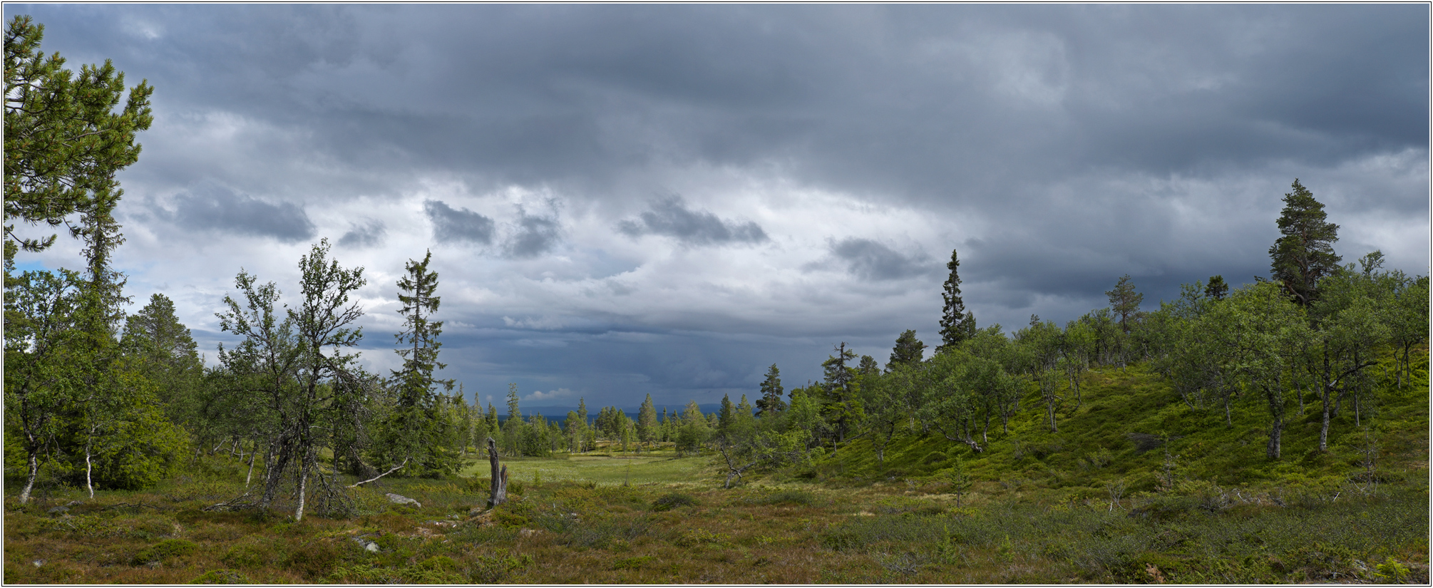 Gutulia_2016_på dagstur