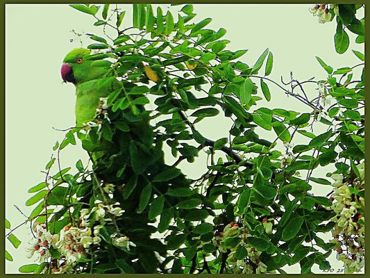 Gutversteckt...zum Frühstücken 