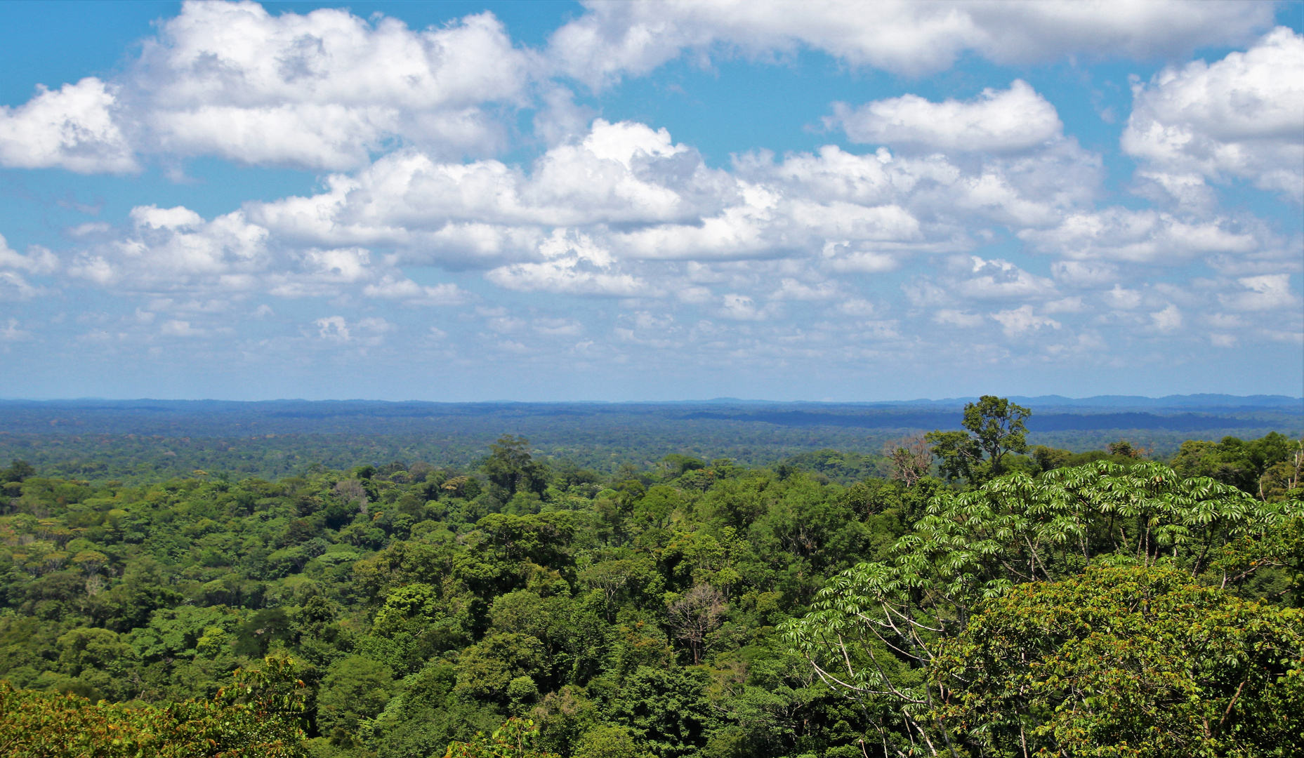 Guyane - Regenwald ohne Ende