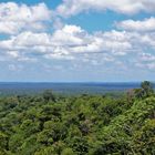 Guyane - Regenwald ohne Ende