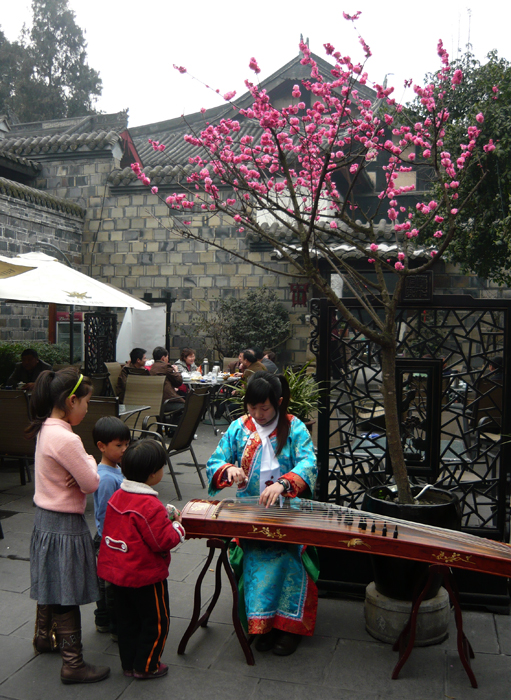Guzheng-Spielerin in einem Teehaus in Chengdu